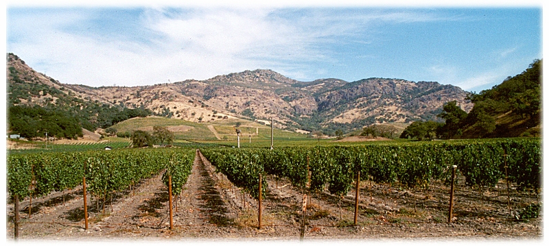 Napa, San Francisco America.jpg